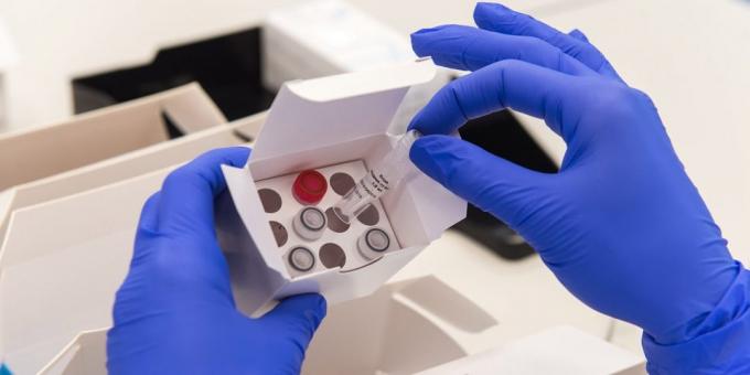 de identificación y de ADN personales pruebas: utilizando reactivos y diferentes temperaturas producen muchas copias del loci deseado
