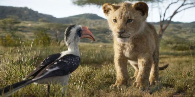 "El Rey León": un poco de Simba y Zazu