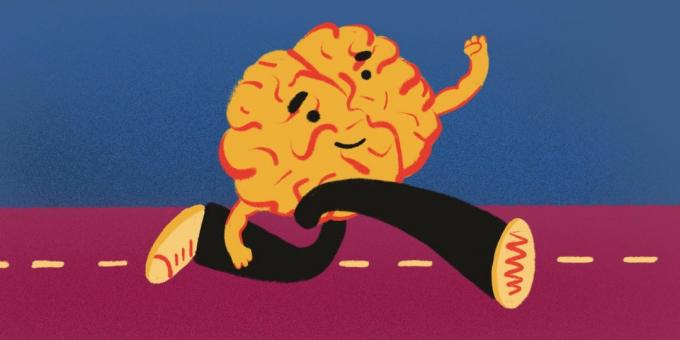 El sangrado del cerebro: el cerebro bombeará como correr
