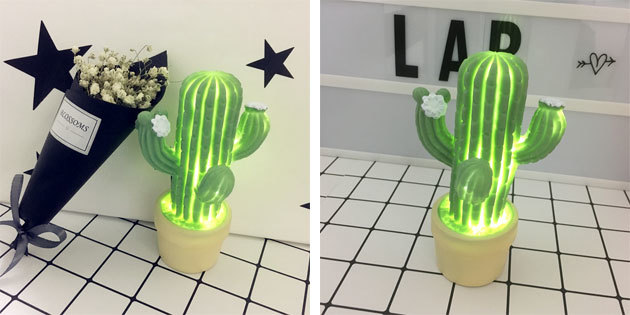 La lámpara en forma de un cactus