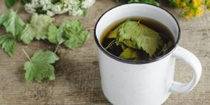 ¿Por qué recoja hojas de grosella y hacer el té