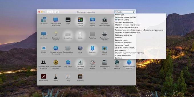 configuración del sistema MacOS: Cómo utilizar el campo de búsqueda