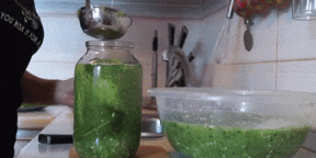 Pepinos en pepino - una ingeniosa manera de deshacerse de la maleza vegetal