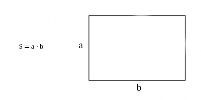 Cómo encontrar el área de un rectángulo conociendo dos lados adyacentes