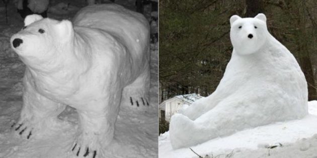 Oso en la nieve