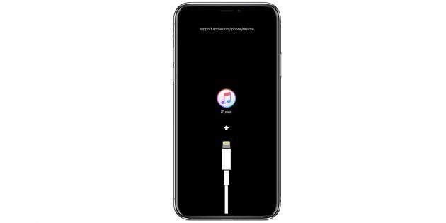 Cómo restaurar el iPhone a través de iTunes