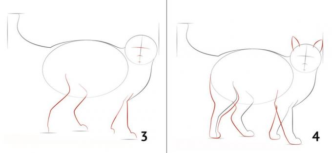 Cómo dibujar un gato