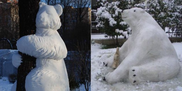 cifras oso de la nieve