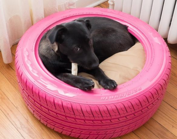 Tumbona de neumáticos para perros