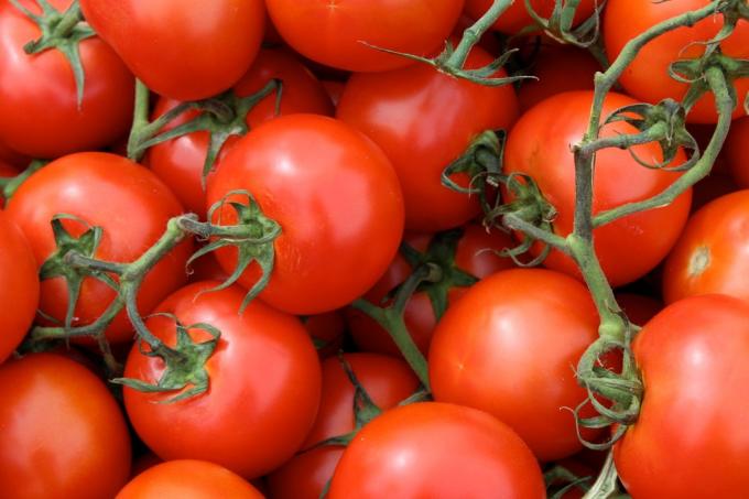productos útiles: los tomates