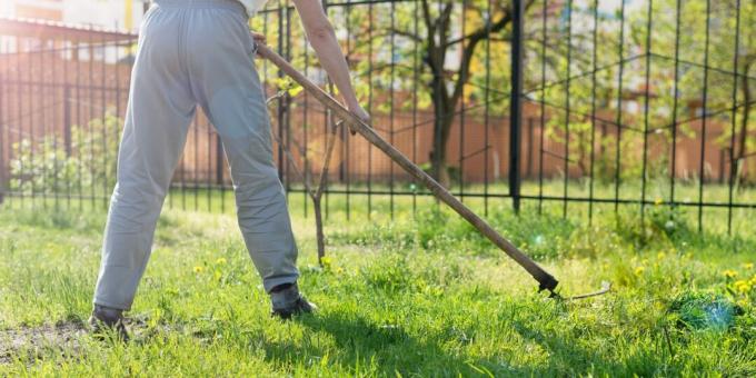 que cortar pasto en el campo: trenzas