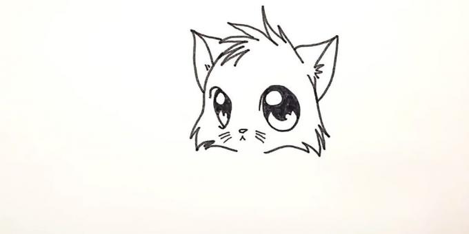 Cómo dibujar anime gato: Dibuje shorstku en la parte inferior de la cabeza