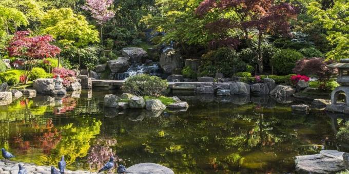 ¿Qué ver en Londres: el jardín japonés de Kyoto en Holland Park