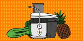 ¿Cómo elegir un extractor de jugos de frutas y hortalizas