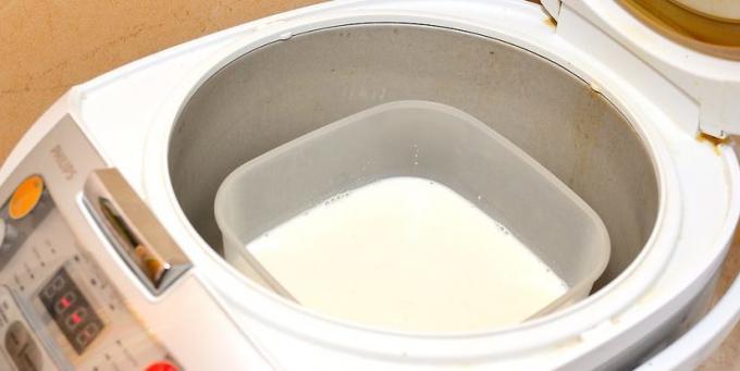Cómo cocinar hecho en casa yogur yogur
