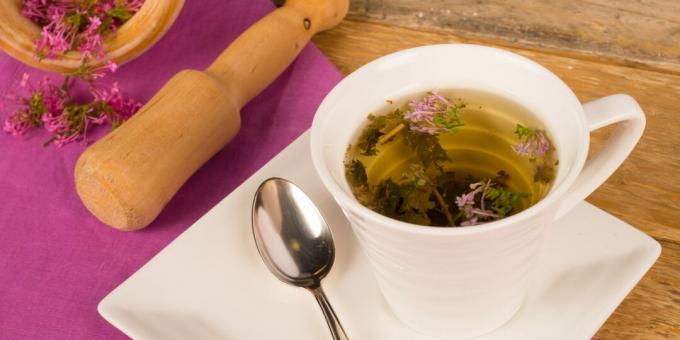 Bebidas saludables antes de acostarse: té de raíz de valeriana