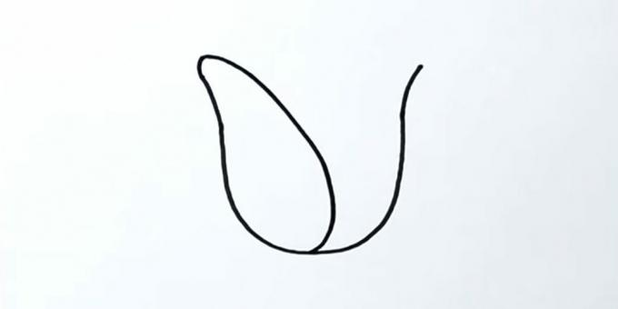Cómo dibujar un tulipán: dibuja el pétalo izquierdo