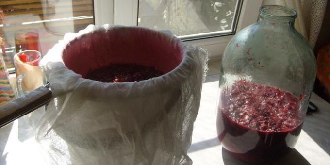 Cómo hacer vino de grosellas rojas en el hogar. Todas las bayas tienen que permanecer en Marl