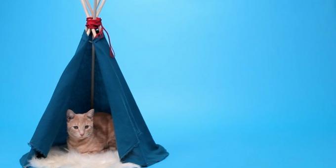 Como hacer una casa-tienda de campaña para un gato de los carriles y la tela con las manos