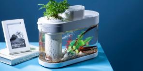 Acuario Xiaomi con alimentador automático