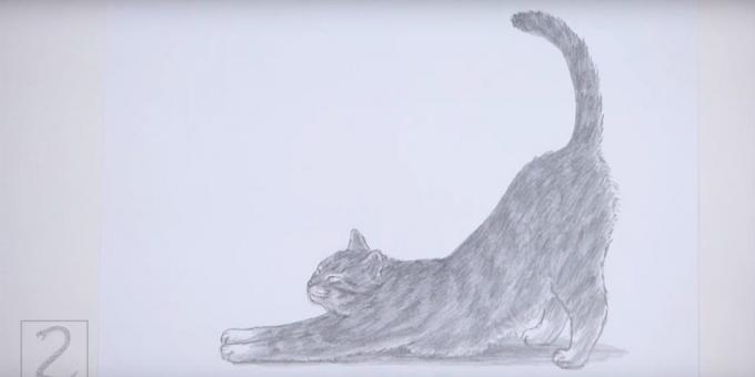 Cómo dibujar un gato de pie en un estilo realista