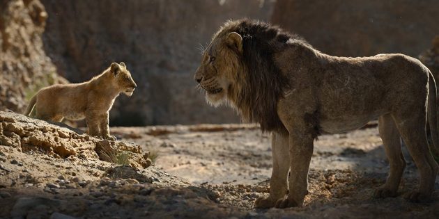 "El Rey León": Simba y Scar