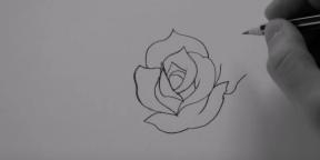 Cómo dibujar una rosa de 20 maneras diferentes