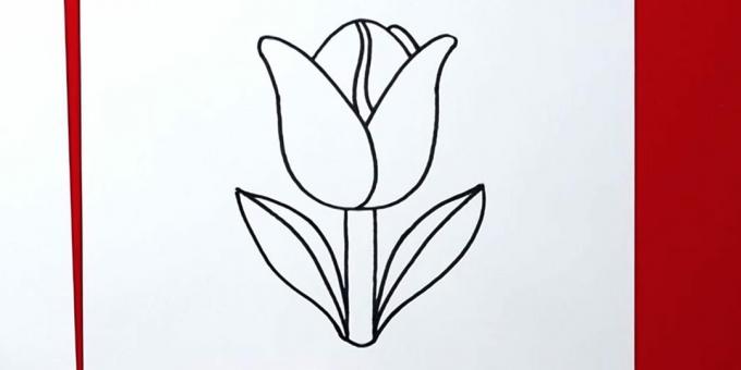 Dibuja el tulipán
