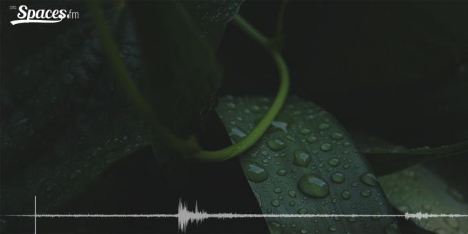 sonido binaural de lluvia para la concentración
