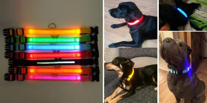 Productos para pasear al perro: collar luminoso