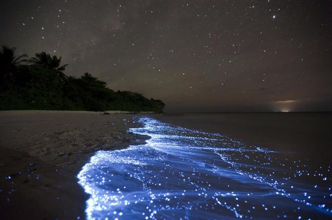 Bioluminiscente Beach - Vaadhoo, Maldivas mejores playas