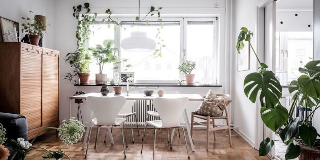 estilo escandinavo en el interior: las plantas vivas