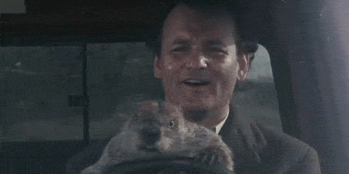 Revisar el "Día de la Marmota," ¿Dónde más se puede ver la marmota al volante?