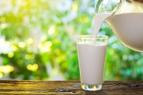 ¿De dónde viene la leche: la verdad y mitos sobre su producción