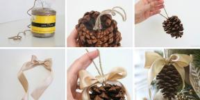 10 maneras de hacer que los juguetes de Navidad fresco con sus propias manos