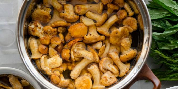 Cómo y cuánto cocinar rebozuelos.