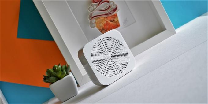 Xiaomi WiFi Radio Online: apariencia