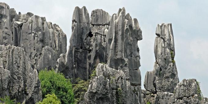territorio asiático atrae a los turistas a sabiendas: Bosque de piedra de Shilin, China