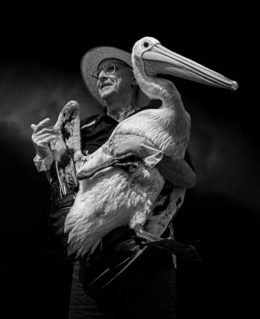 Pelican Owner por Tony Lowe