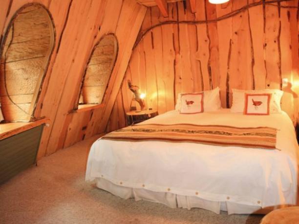 Hotel Magic Mountain Hotel se encuentra en los bosques de Chile protegidas
