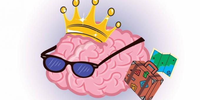 hechos sobre el cerebro: la reserva cognitiva
