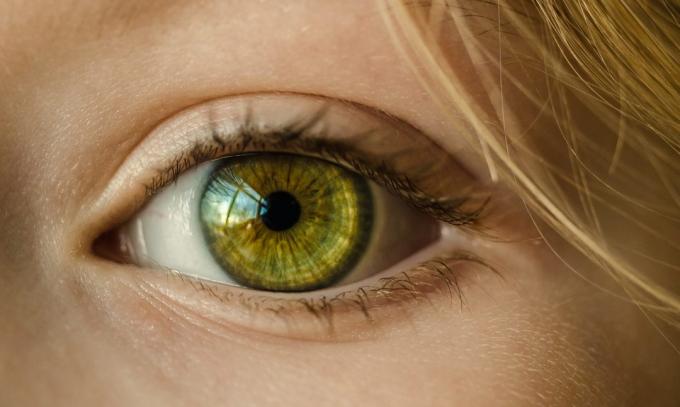 la piel aceite de oliva alrededor de los ojos