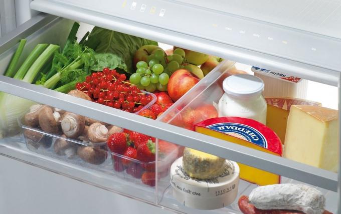Realizar una auditoría con el fin de mantener el orden en el refrigerador
