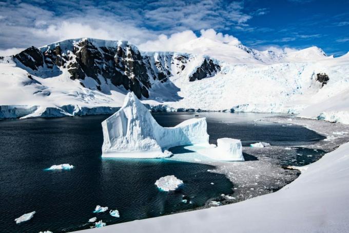 Icebergs en la Antártida