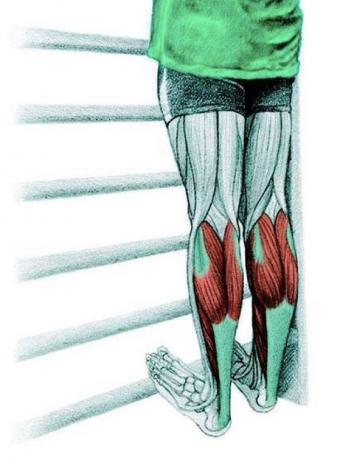 Anatomía de estiramiento: el estiramiento de los músculos de la pantorrilla