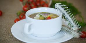 10 recetas para la sopa de un lucio, la carpa, la perca, el salmón, y no sólo