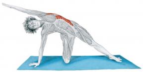 Anatomía de estiramiento en imágenes: ejercicios para los músculos del cuerpo