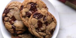 15 recetas de galletas de chocolate, es posible que desee probar a ciencia cierta