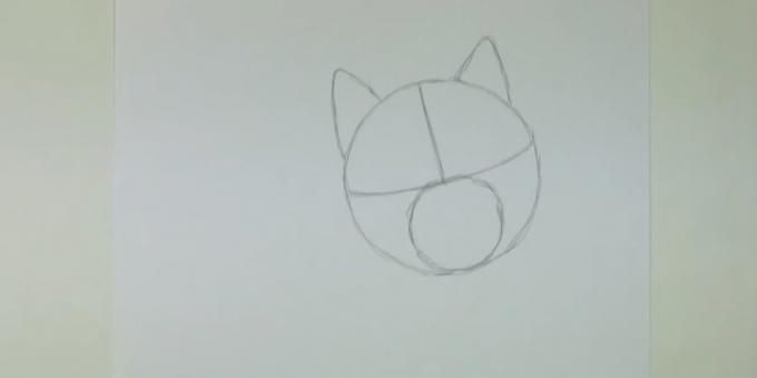 Dibujar un círculo y marcar las orejas más pequeñas