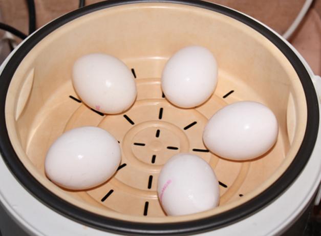 Cómo cocinar los huevos en una caldera doble o multivarka